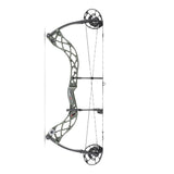 Archery, Bow, Carbon