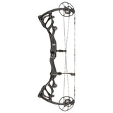 Archery, Bow, Carbon